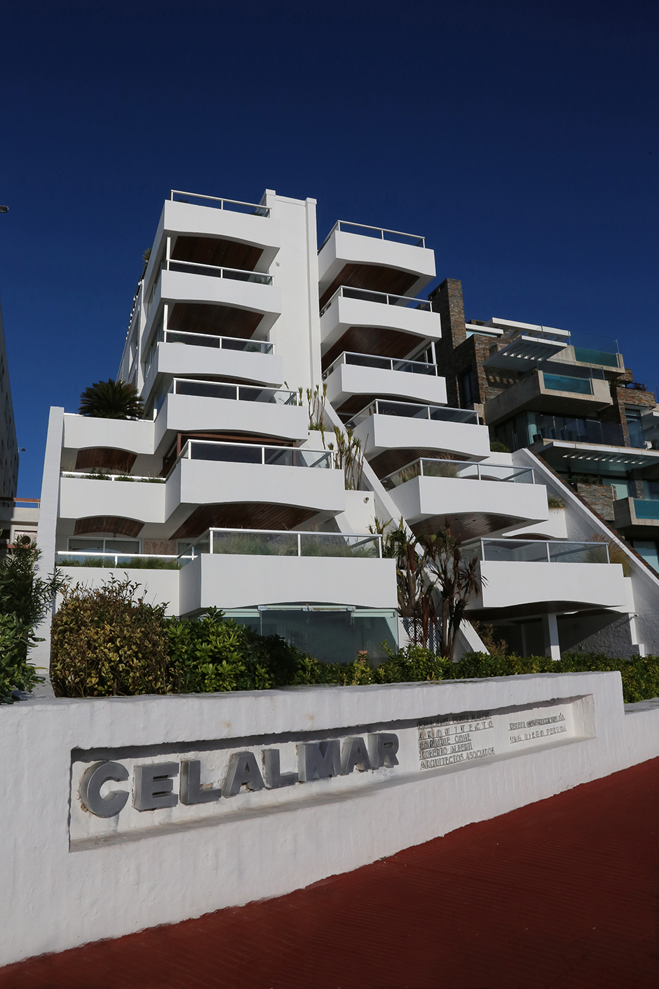 calamar2h